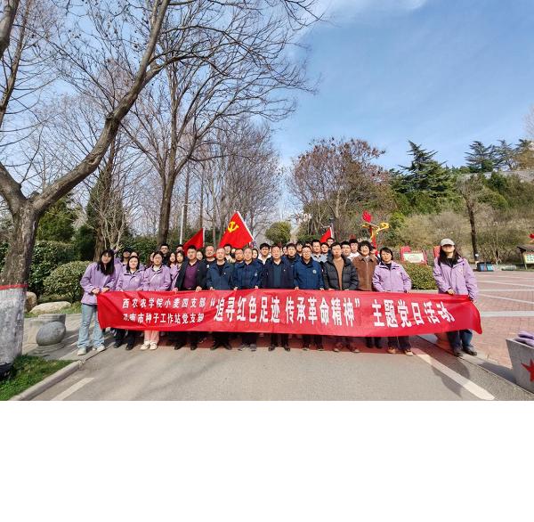 图片4-上网1.png