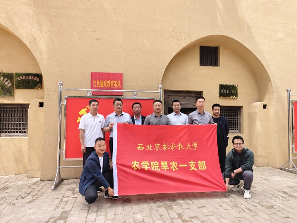 上网1.jpg