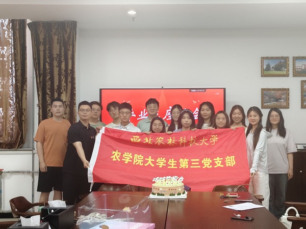 上网-1.jpg
