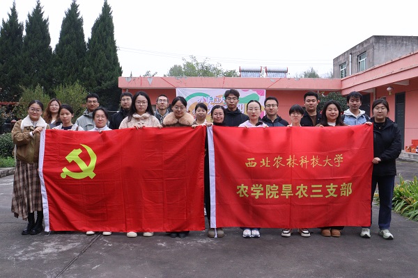 上网44.jpg