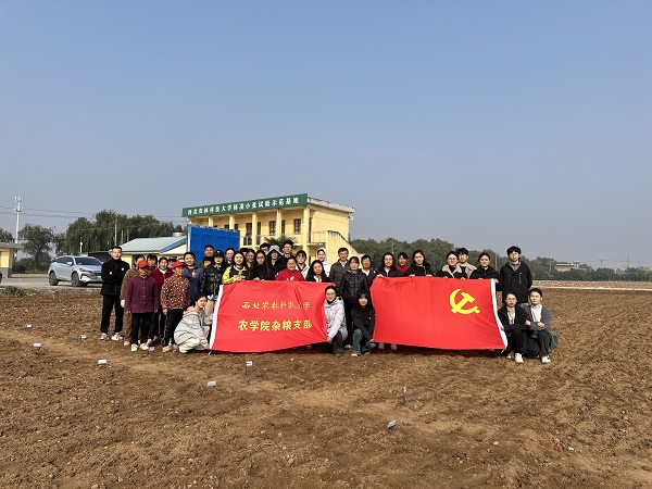 上网1.jpg