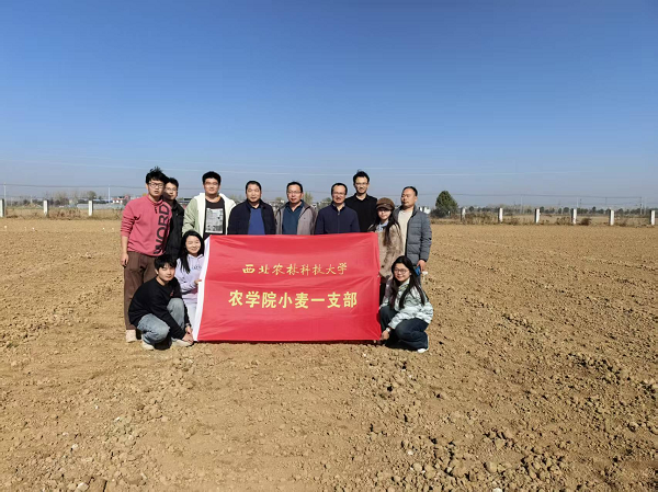 图片1-上网.png