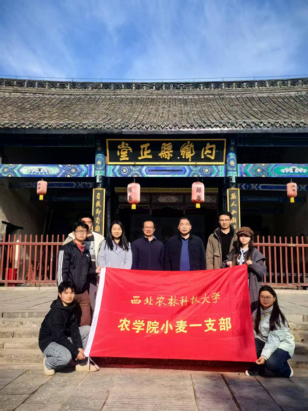 图片2-上网.png