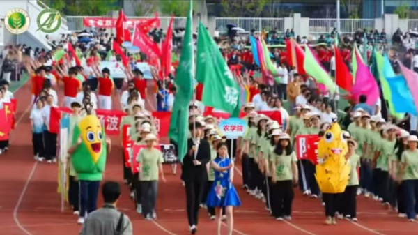图为伟德bv1946方阵_副本.png